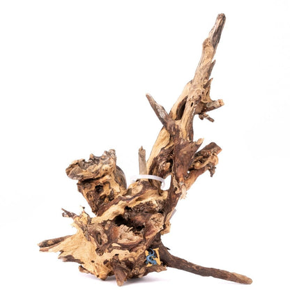 Cyrus Wood Large(14" - 16") - Planted Aquaria
