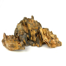 Dragon Stone - Planted Aquaria