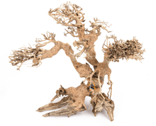 Dragonwood Large 18" - Planted Aquaria