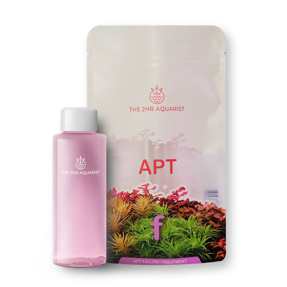 化粧下地 AQUAMESH LIQUID PASTER #2 PINK 30g AQUAMESH LIQUID PASTER #2 PINK 30g 【公式通販】