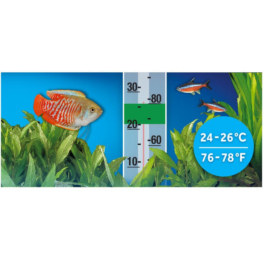 Fluval P - Series Submersible Aquarium Heaters - Planted Aquaria