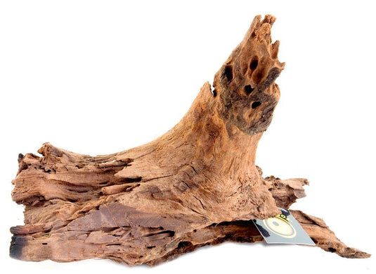 Galapagos Sinkable Drift Wood Medium (11 - 13") - Planted Aquaria