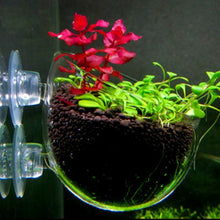 Glass Pot Suction Cup Mount - Planted Aquaria