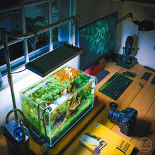 LitiAquaria Stainless Steel Lighting Stand (Desk Mount) - Planted Aquaria