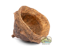 Mini Monkey Pods - 1oz. - Planted Aquaria