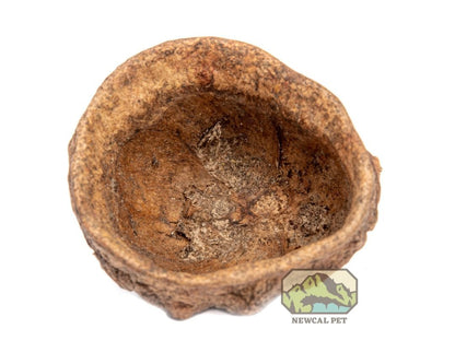 Mini Monkey Pods - 1oz. - Planted Aquaria