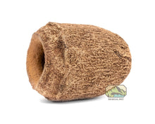 Mini Monkey Pot (2 - Pack) - Planted Aquaria