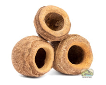 Mini Monkey Pot (2 - Pack) - Planted Aquaria