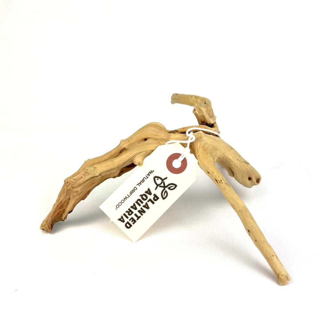 Natural Driftwood - Planted Aquaria