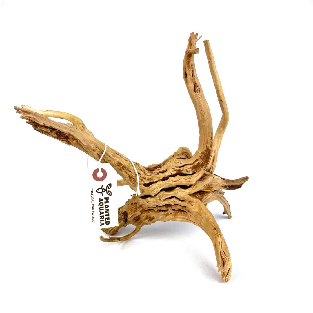 Natural Driftwood - Planted Aquaria
