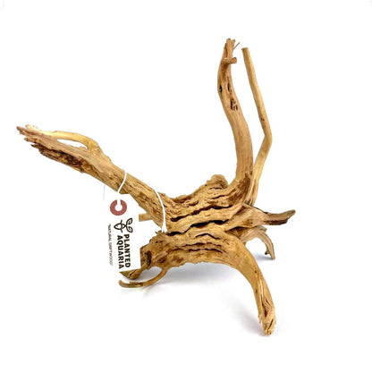 Natural Driftwood - Planted Aquaria