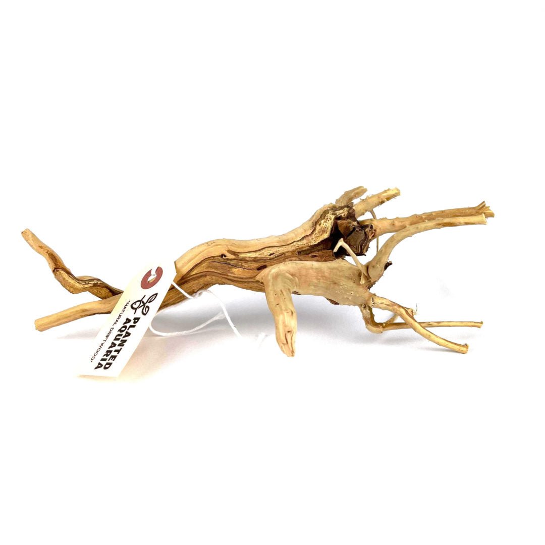 Natural Driftwood - Planted Aquaria