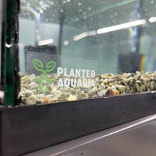 Planted Aquaria Clear Stickers - Planted Aquaria