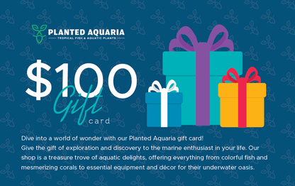 Planted Aquaria Gift Card