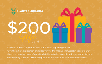 Planted Aquaria Gift Card