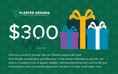 Planted Aquaria Gift Card