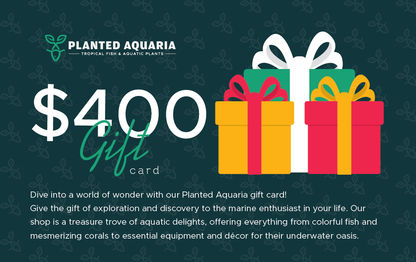 Planted Aquaria Gift Card