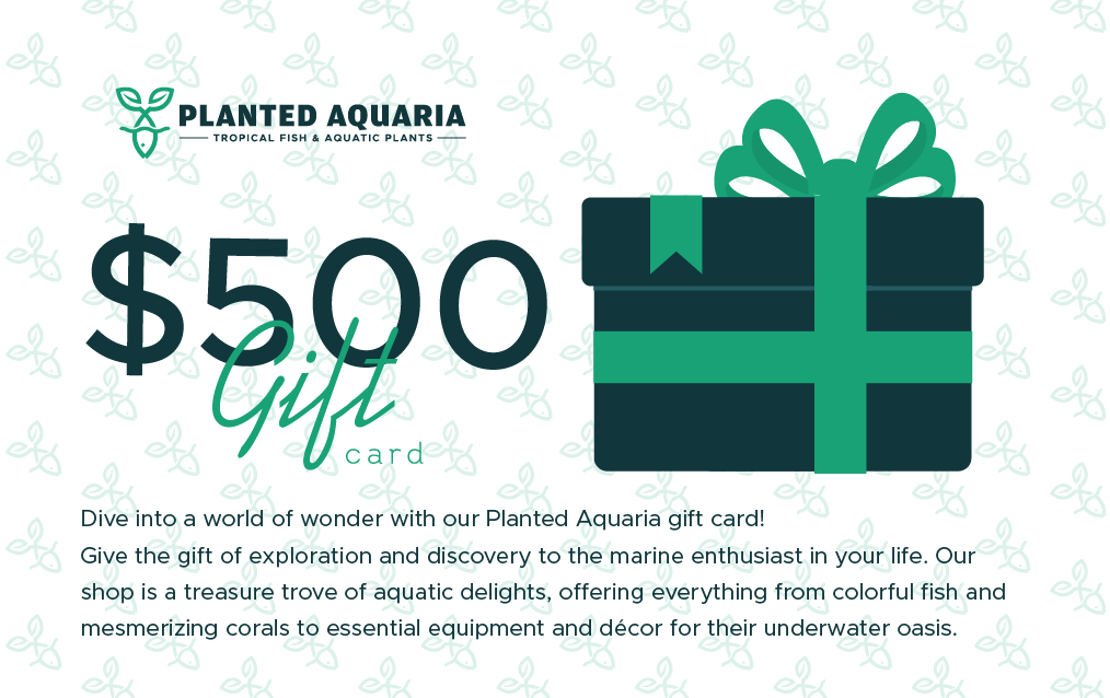 Planted Aquaria Gift Card