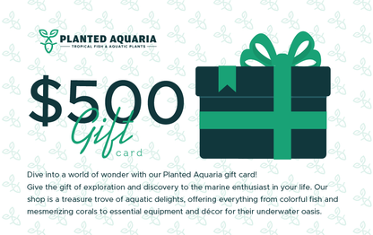 Planted Aquaria Gift Card