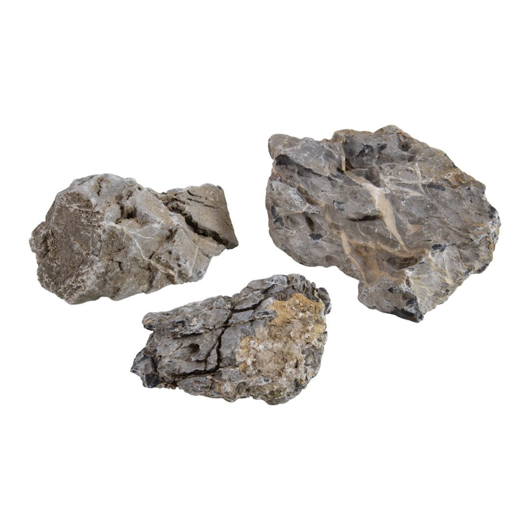 Seiryu Stone - Planted Aquaria