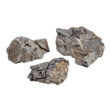 Seiryu Stone - Planted Aquaria