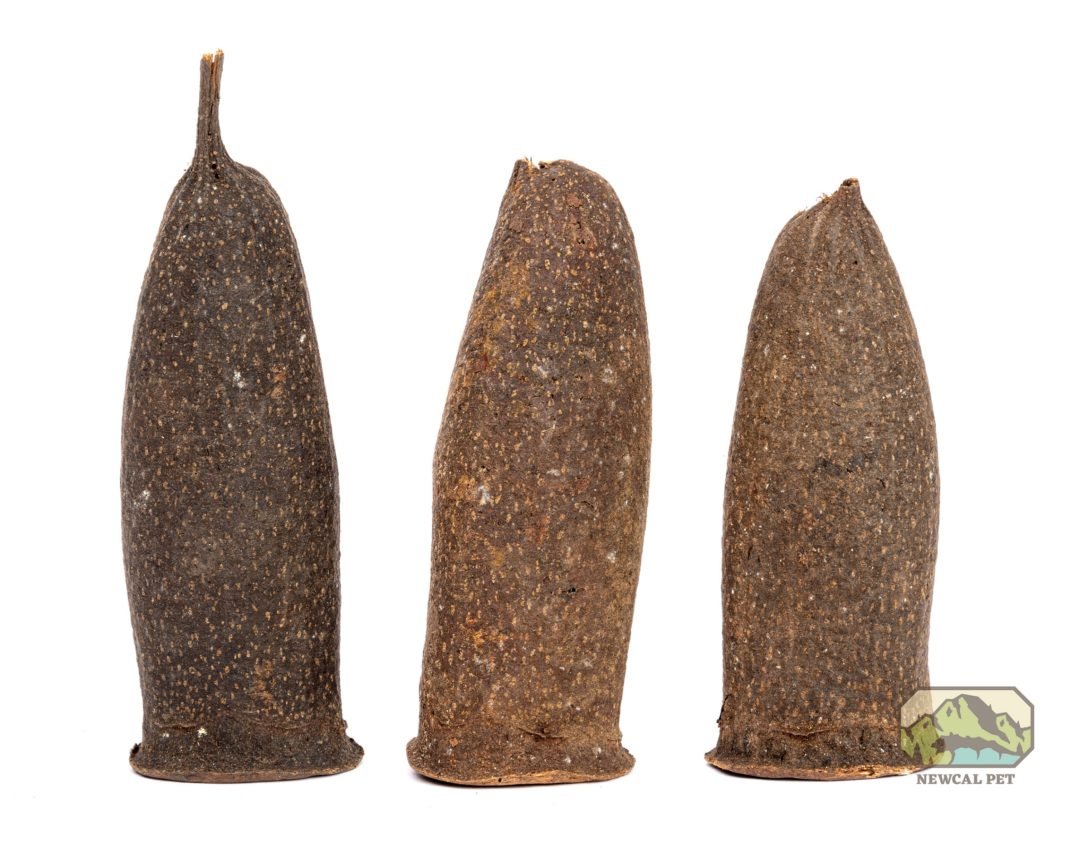 Seru Pods - 2 Pack - Planted Aquaria