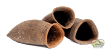 Seru Pods - 2 Pack - Planted Aquaria
