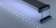Twinstar B - Line LED Lights - Planted Aquaria
