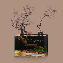 UNS 60A All - In - One Standard Rimless Tank Kit (20 Gal) - Planted Aquaria