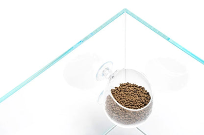 UNS Glass Planter Cup