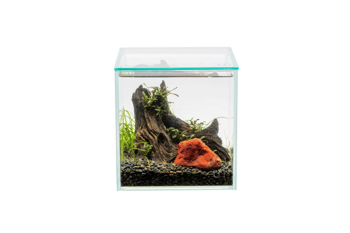 UNS Rimless Lids - 45U / 45S / 45T - Planted Aquaria