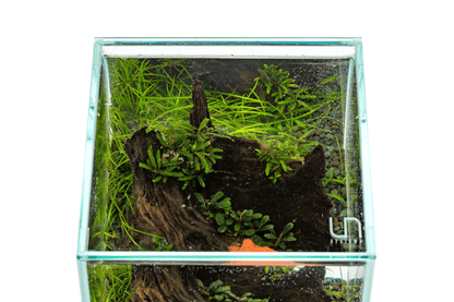 UNS Rimless Lids - 45U / 45S / 45T - Planted Aquaria