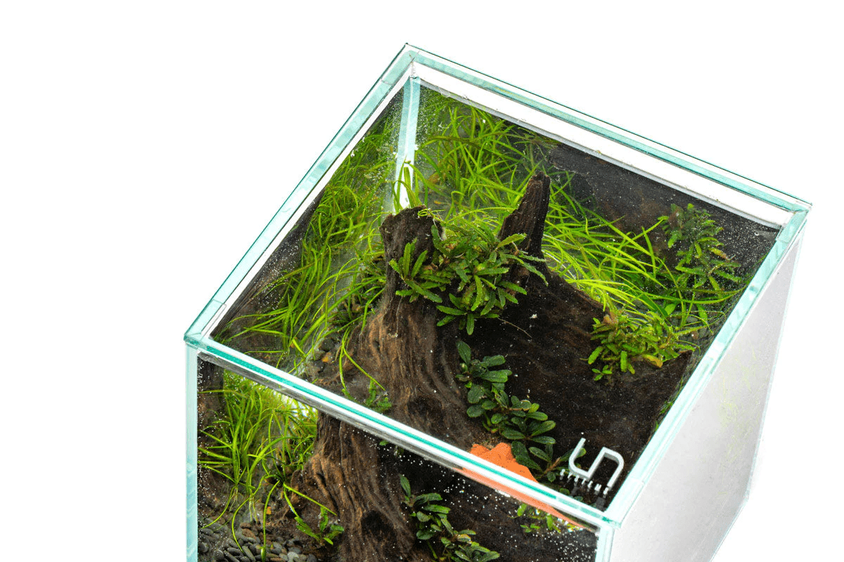 UNS Rimless Lids - 45U / 45S / 45T - Planted Aquaria